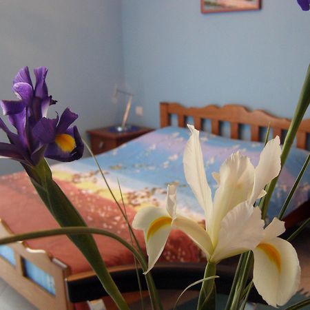 Djurovic Apartments Montenegro Kotor Luaran gambar