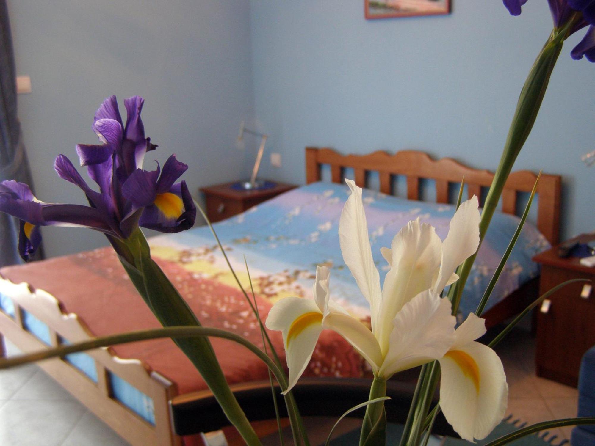 Djurovic Apartments Montenegro Kotor Luaran gambar