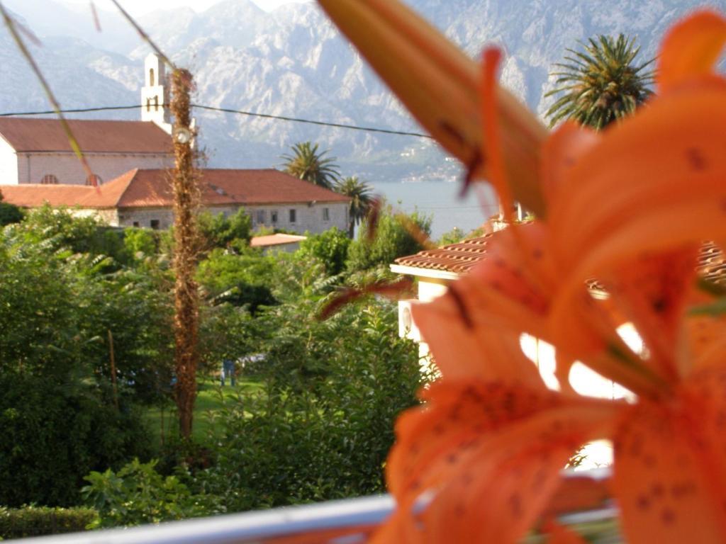 Djurovic Apartments Montenegro Kotor Bilik gambar