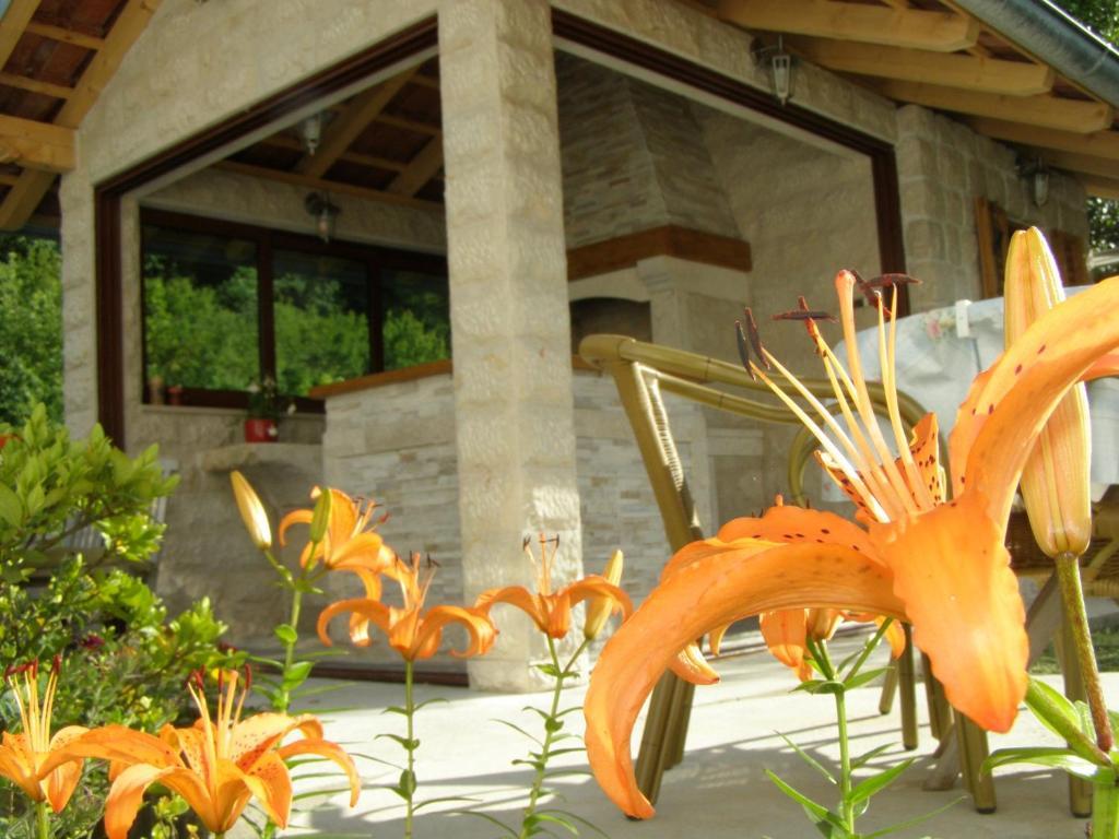 Djurovic Apartments Montenegro Kotor Bilik gambar